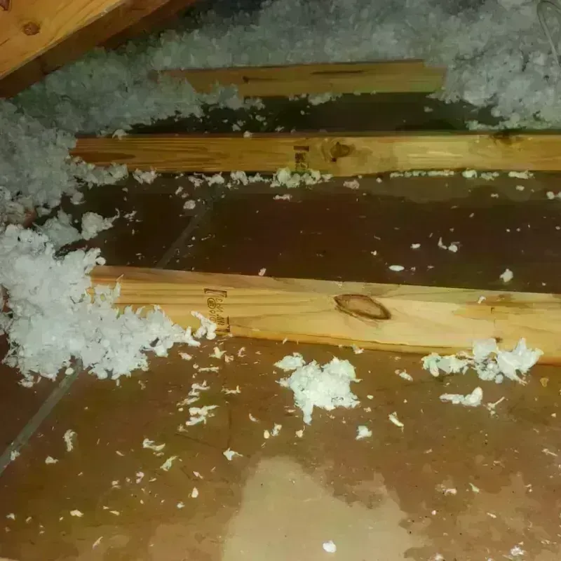 Attic Water Damage in Racine, WI