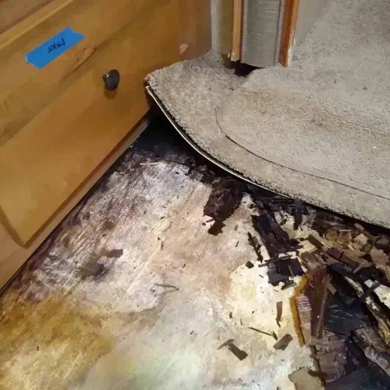 Wood Floor Water Damage in Racine, WI